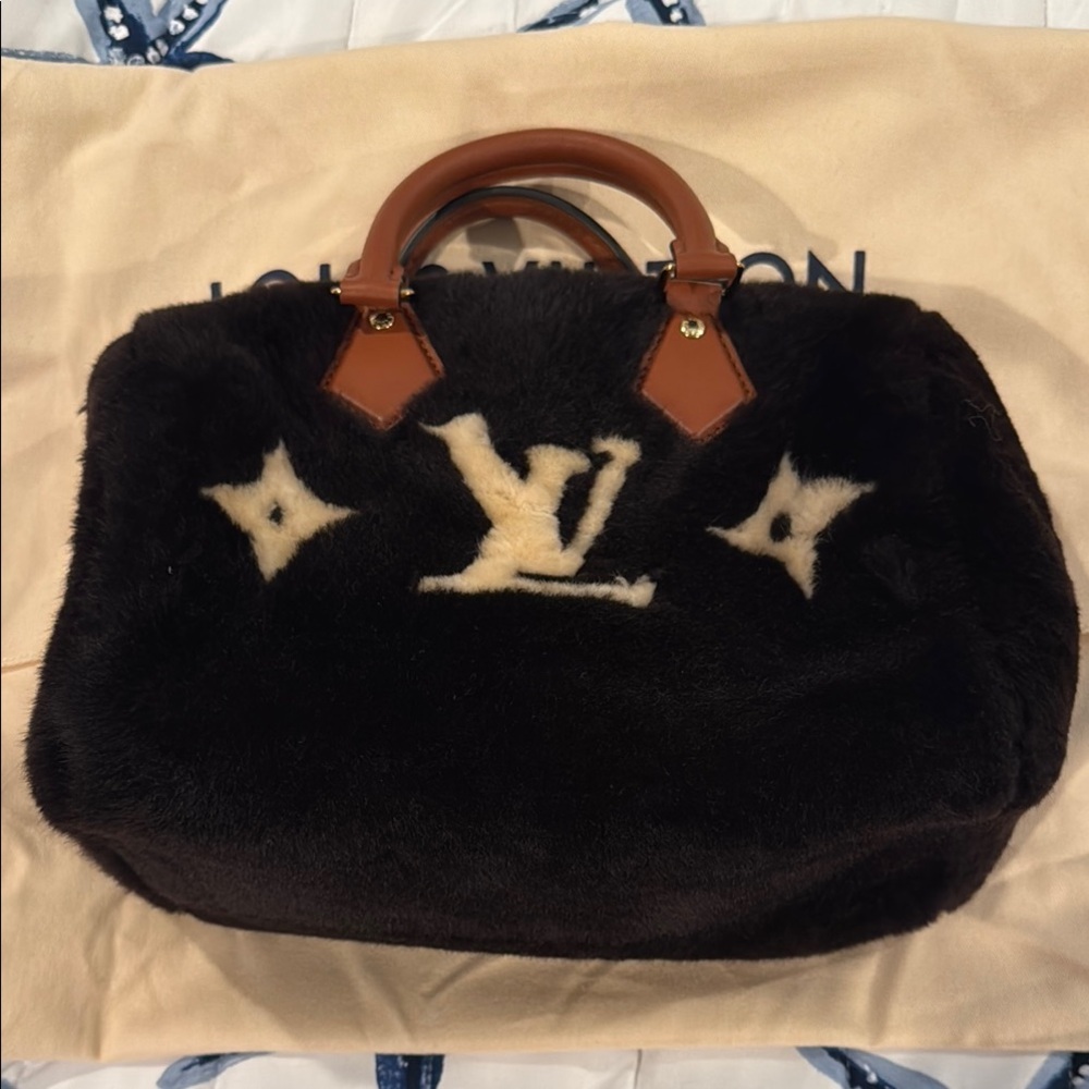 Louis Vuitton Speedy Bandoulière 25 Ski Collection 2025